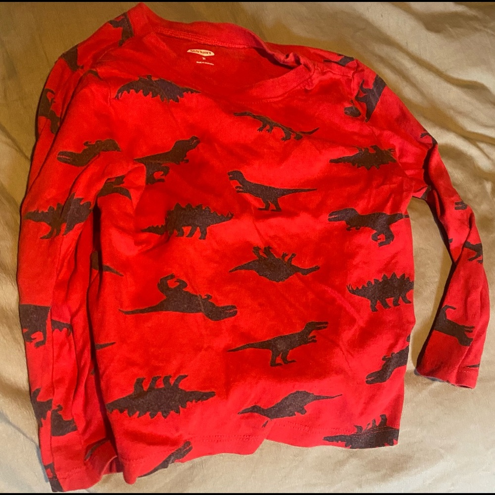 Boys/Girls Dinosaur shirt